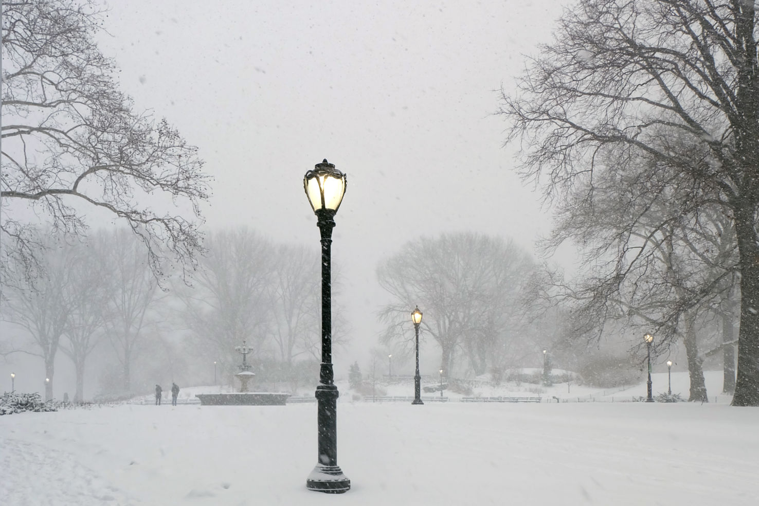 Lampposts in Central Park
