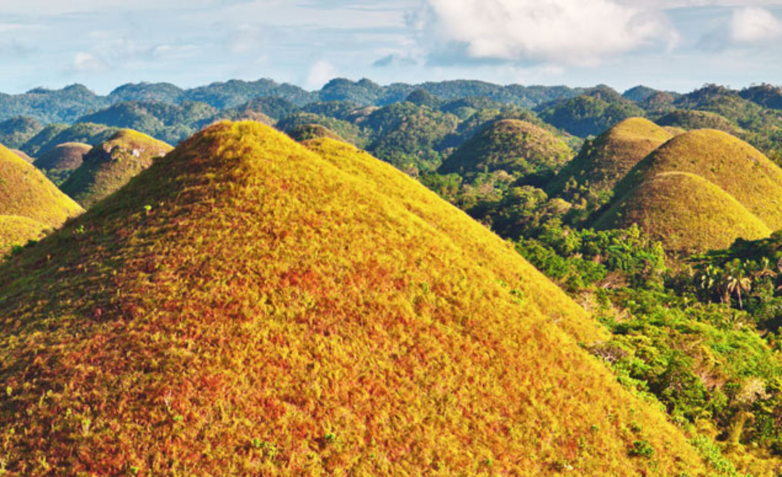 Chocolate Hills