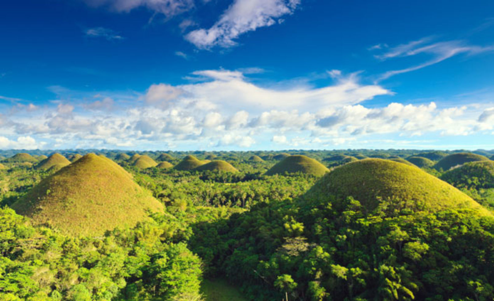Chocolate Hills view