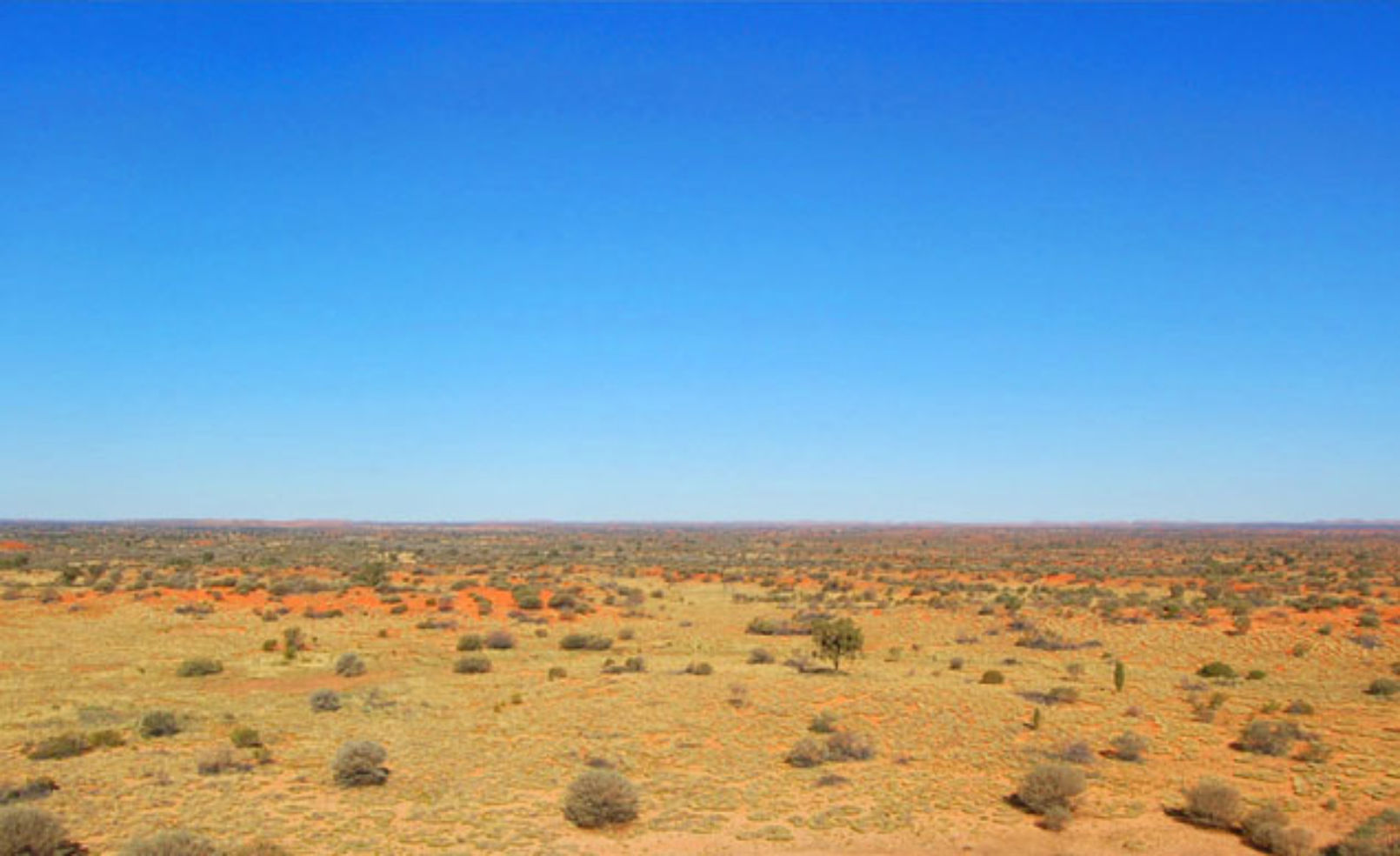 Simpson Desert