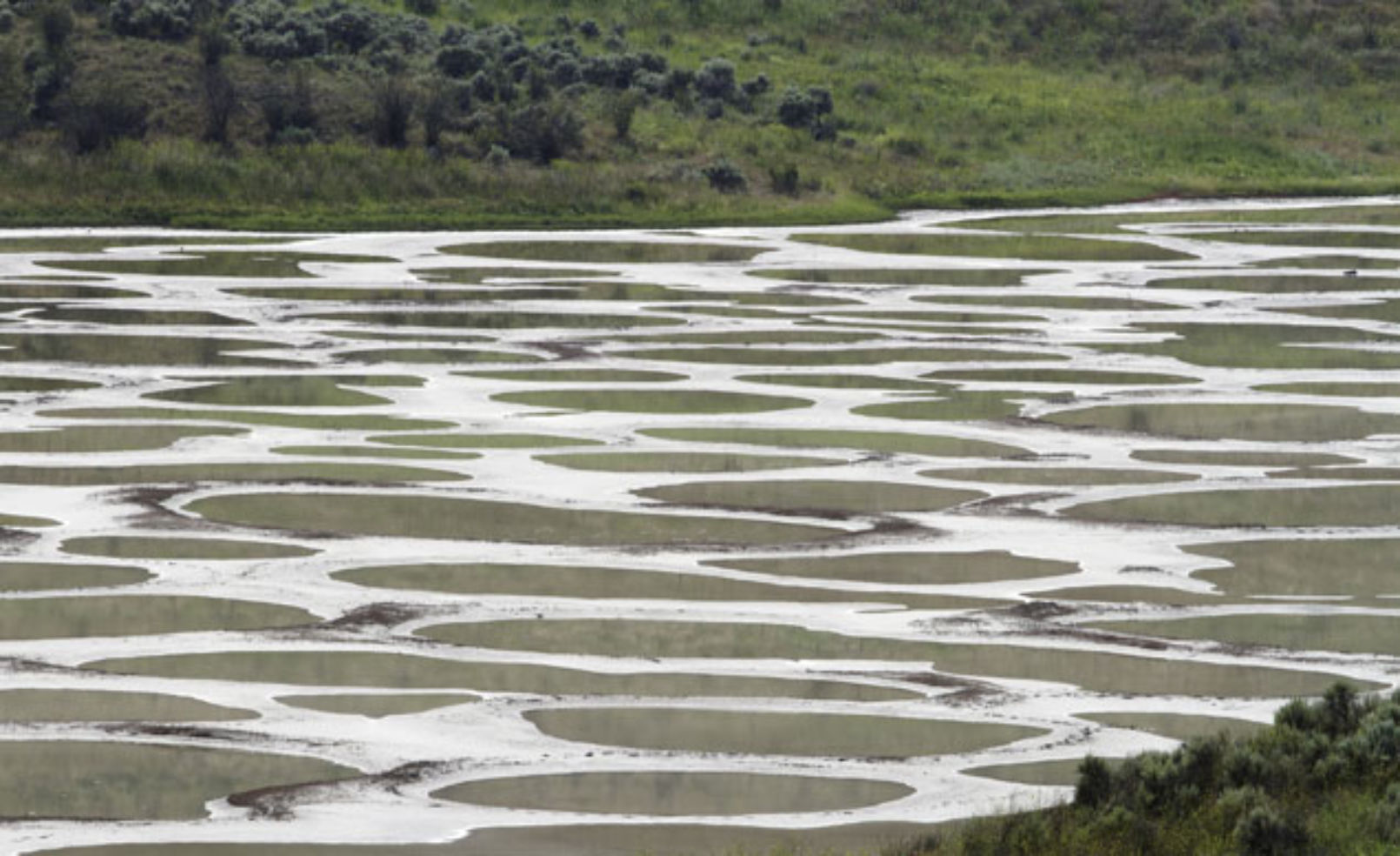 Spotted Lake