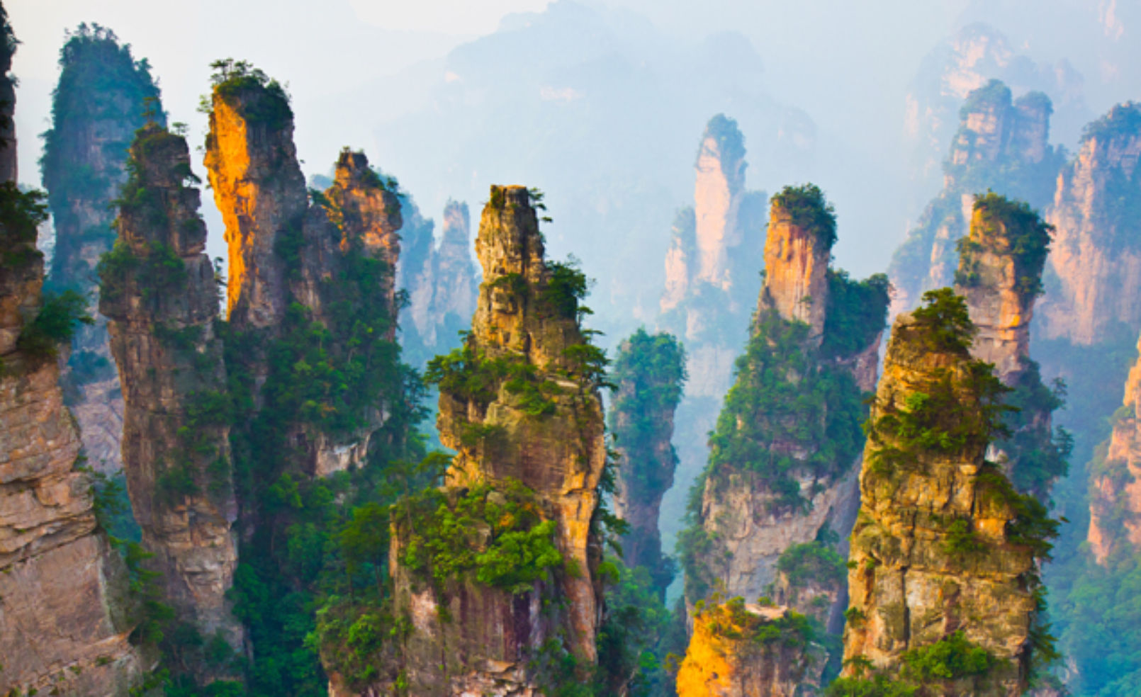 Stone Forests