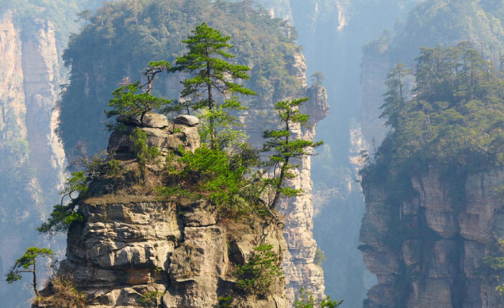 Stone Forests