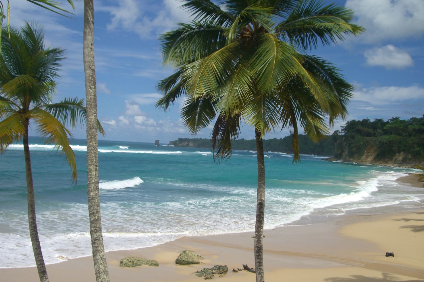 Beautiful beach on the north shore of the Dominican Republic.