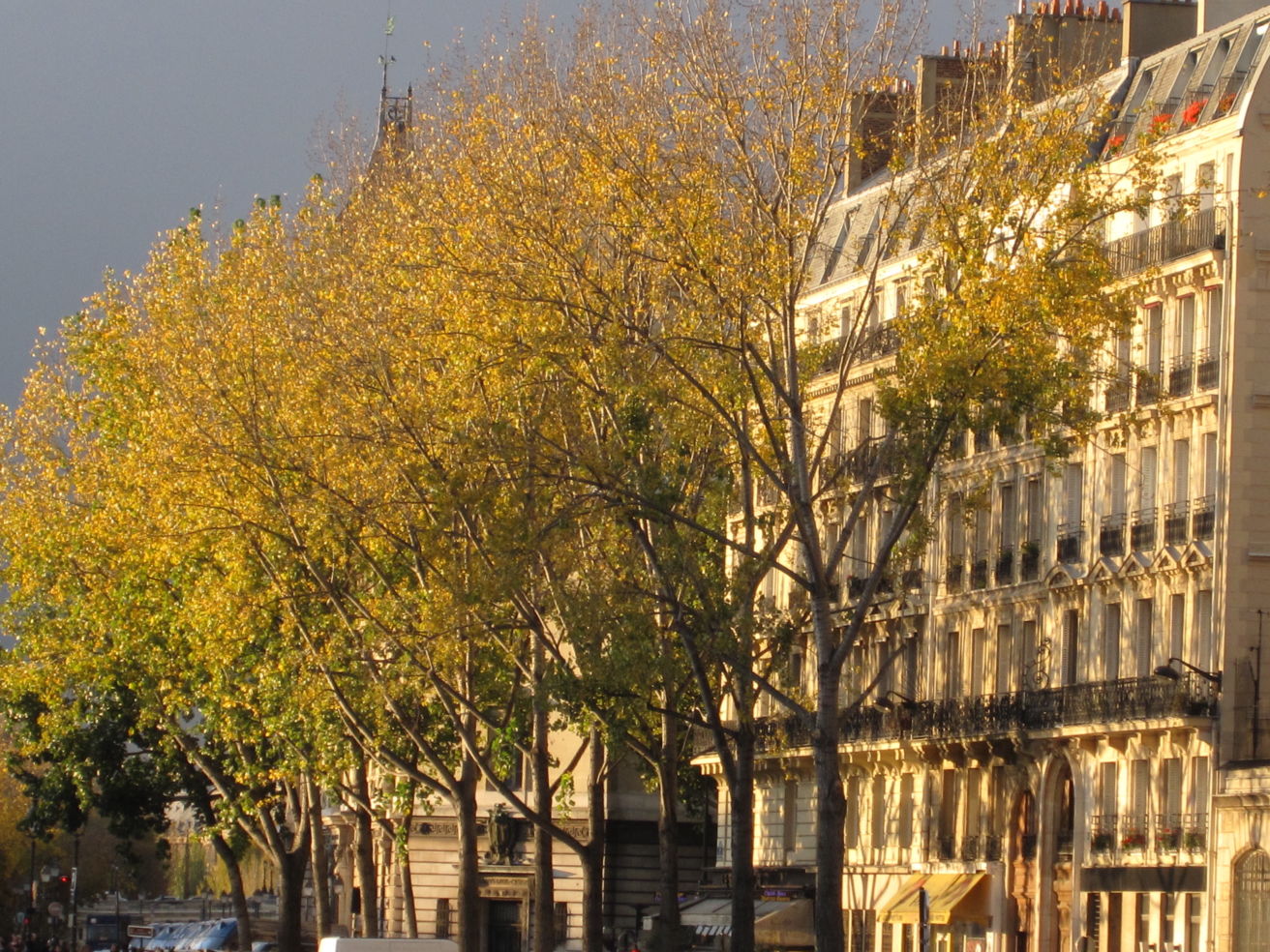 A scene in Paris near the Louvre