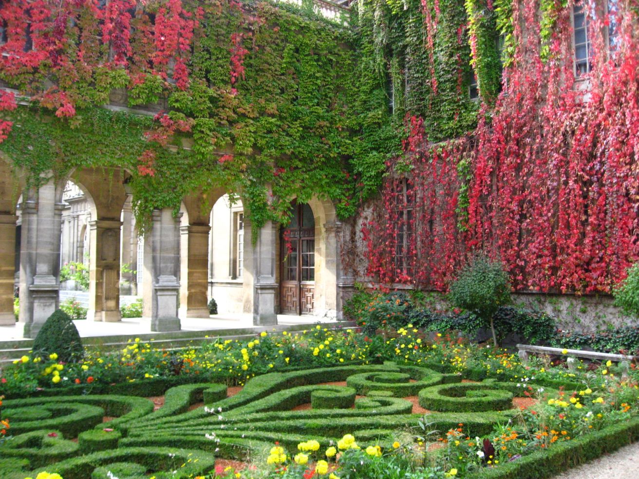 flowers Tuileries Paris France