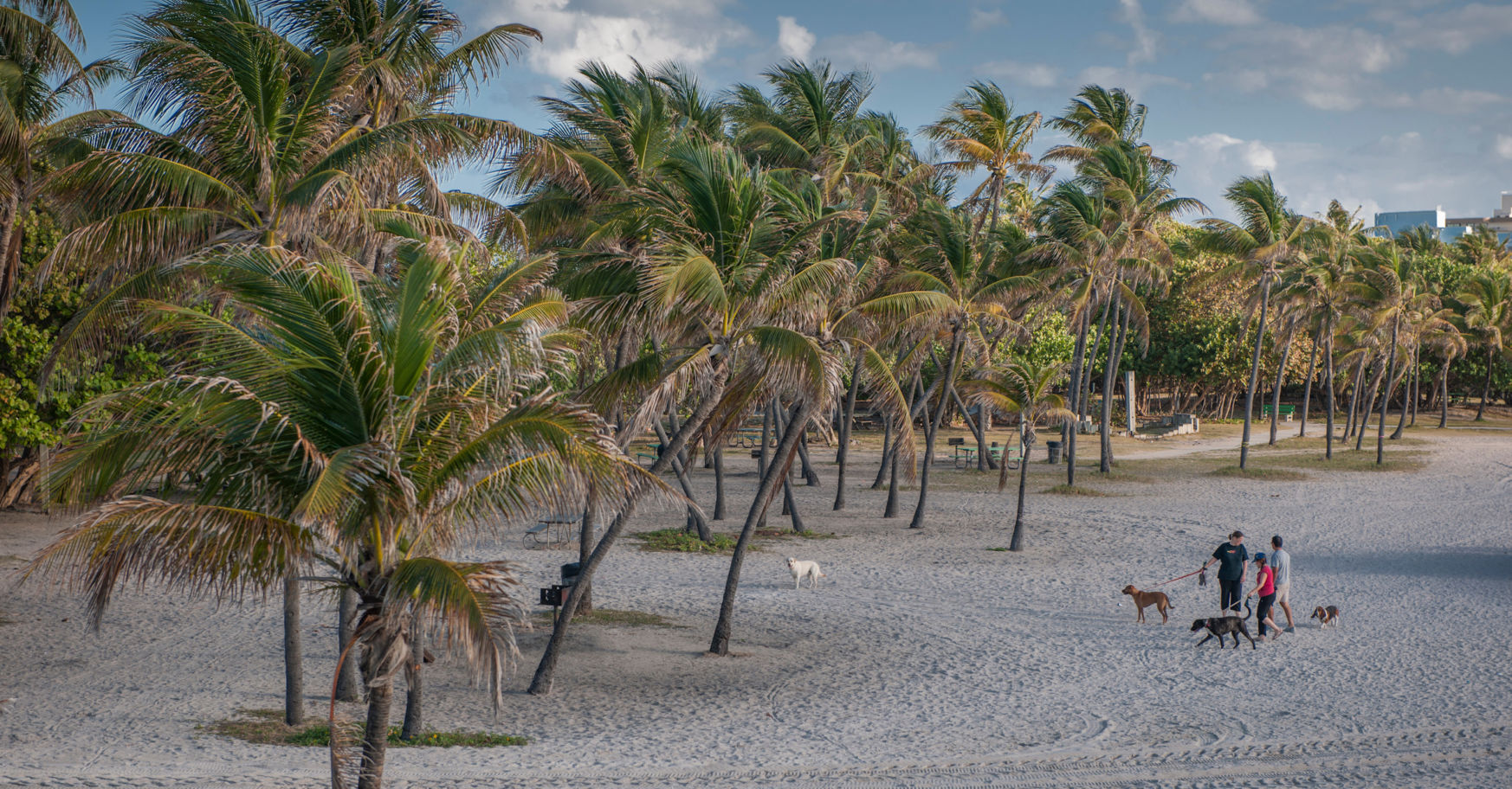 North Shore Open Space Park, Miami, Florida
