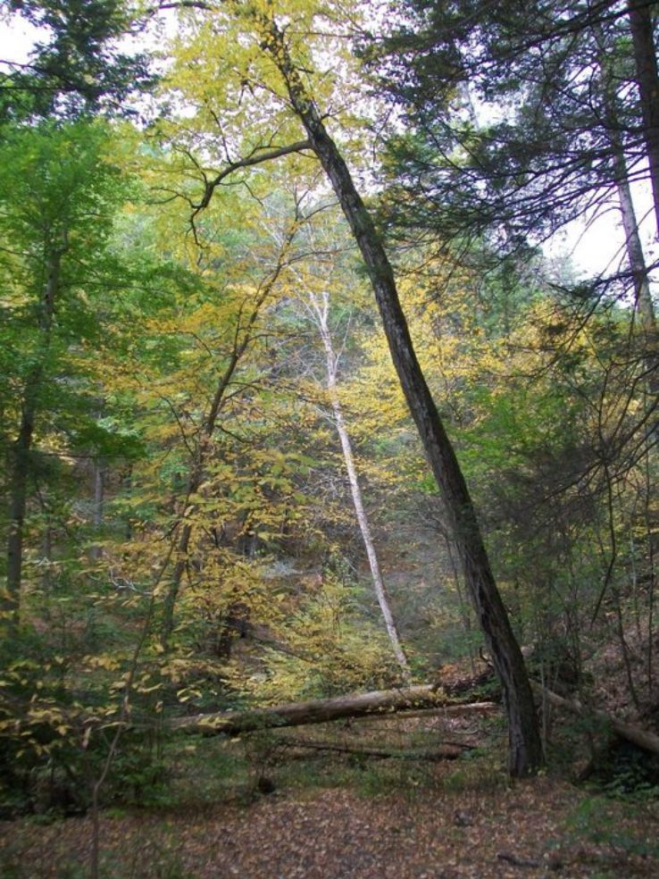 Peaceful Pocono Mountains in Pennsylvania