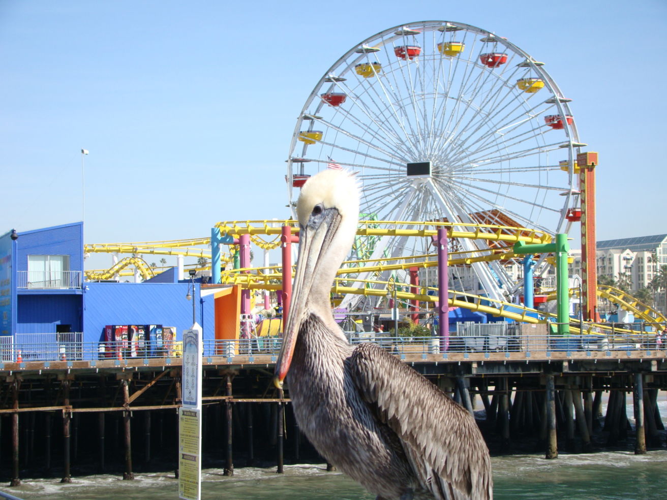 Santa Monica Pier in California