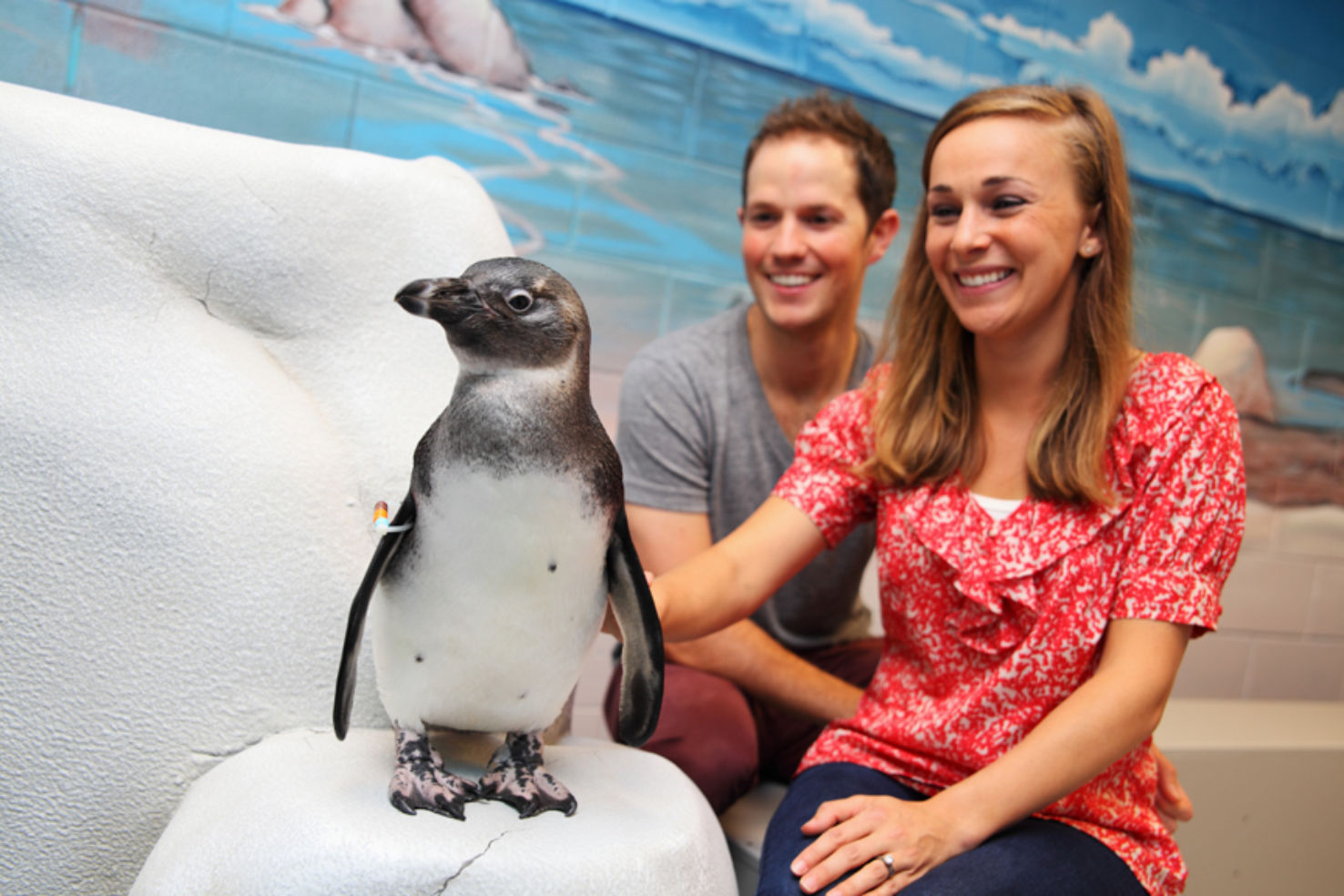 Animal Encounters, Georgia Aquarium, Atlanta