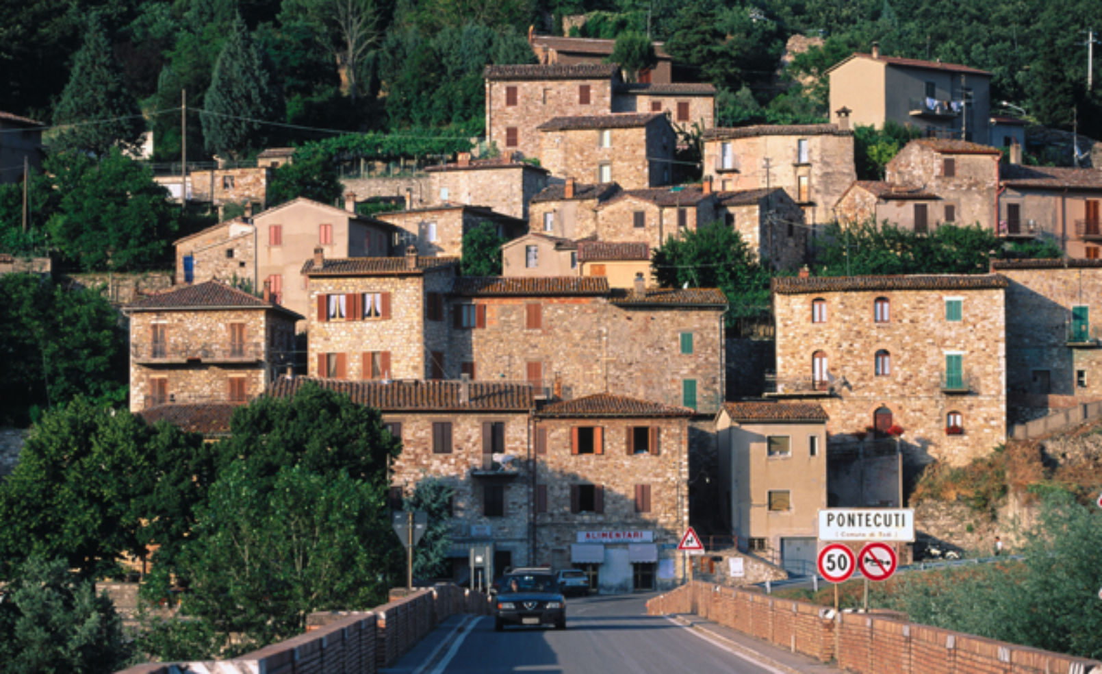 Todi