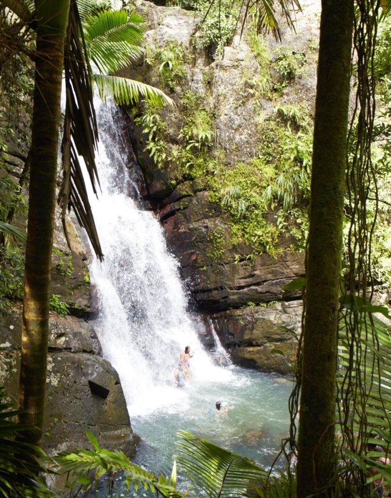 La Mina Falls, a rainforest must-see in Puerto Rico.