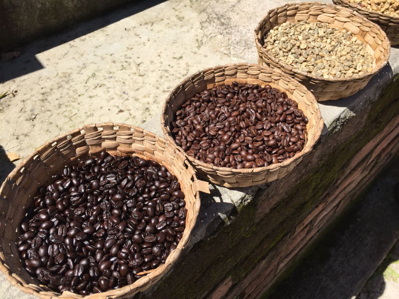 Coffee processed La Quinta Mary San Sebastian del Oeste
