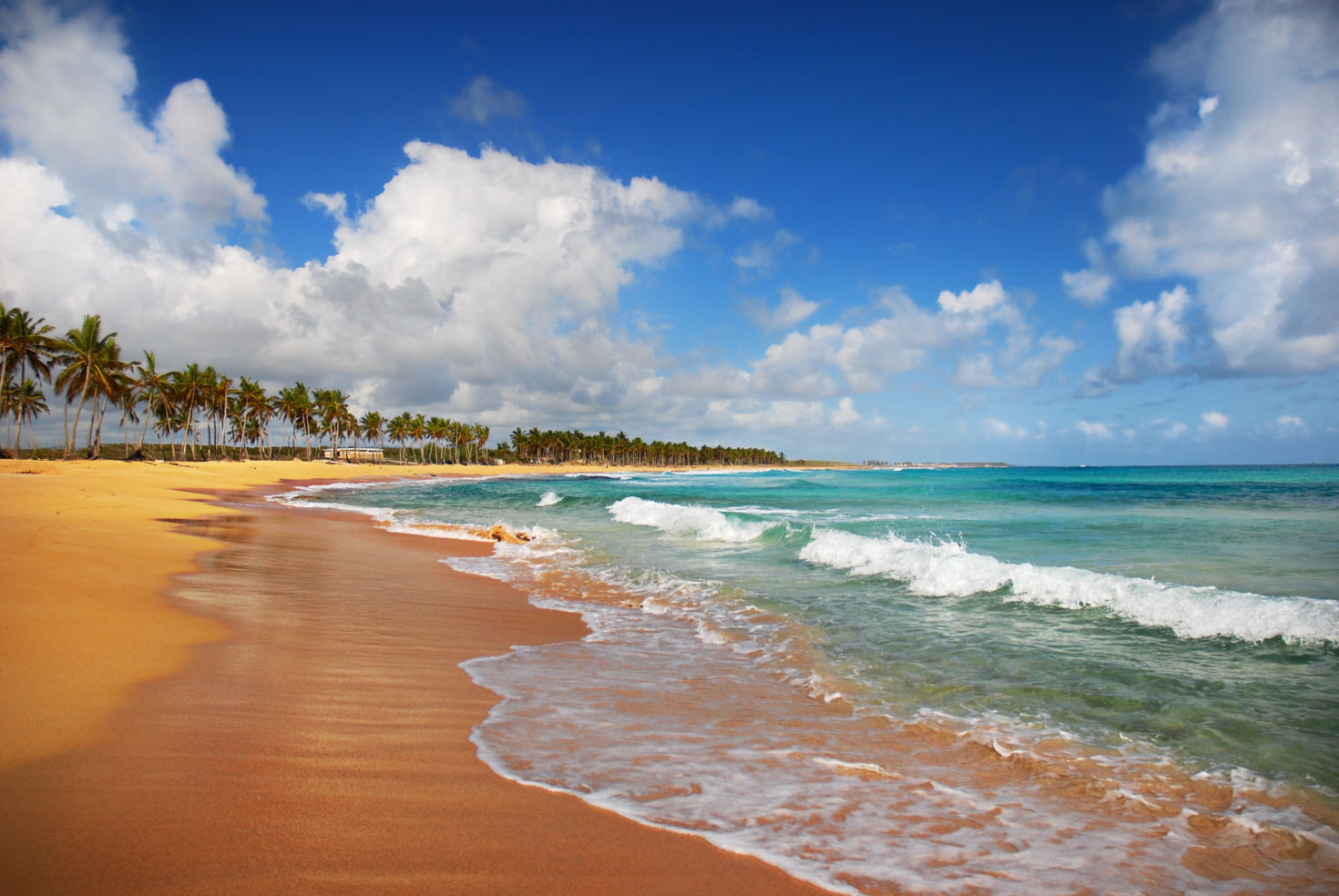 Punta Cana, Dominican Republic, Caribbean