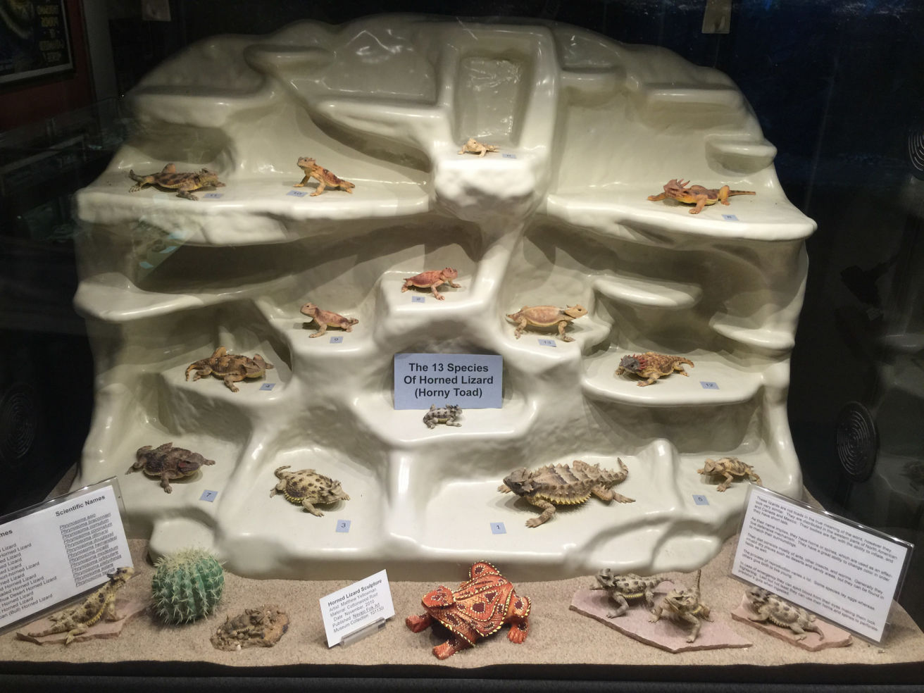 American International Rattlesnake Museum, Albuquerque, New Mexico