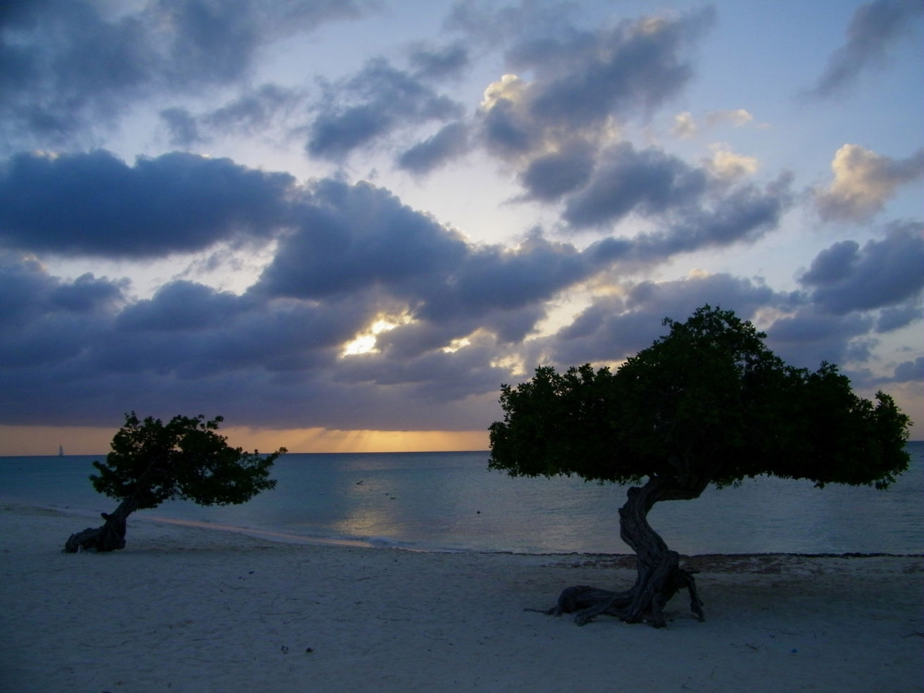 Aruba