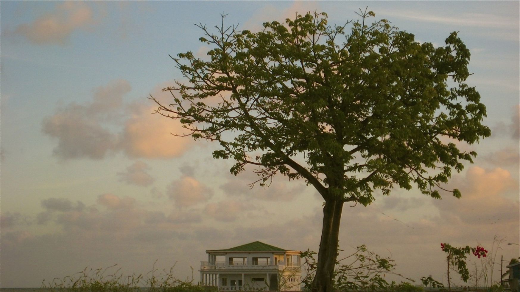 Belize City