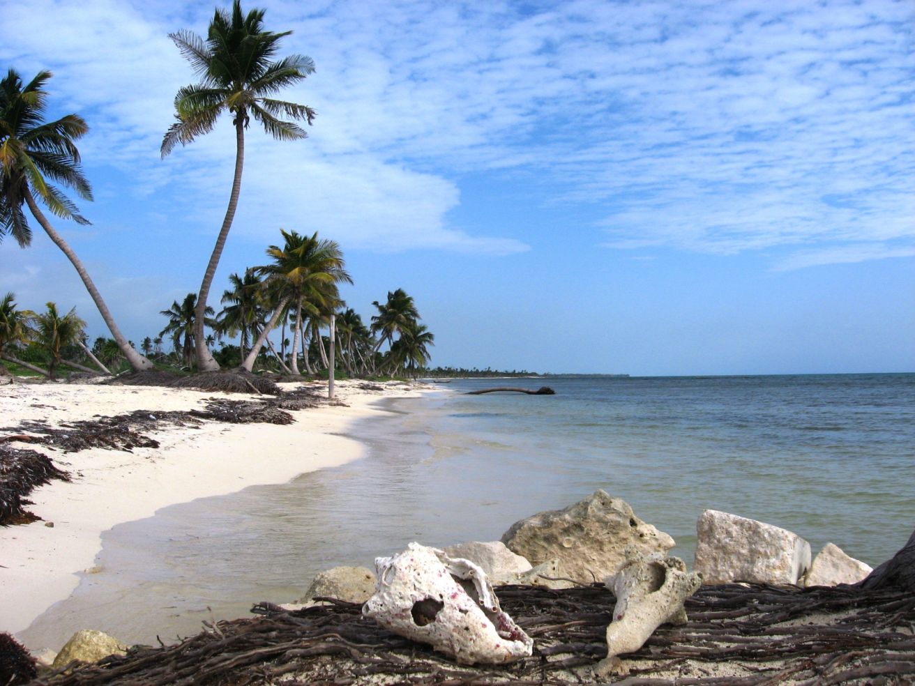 Costa Maya, Mexico