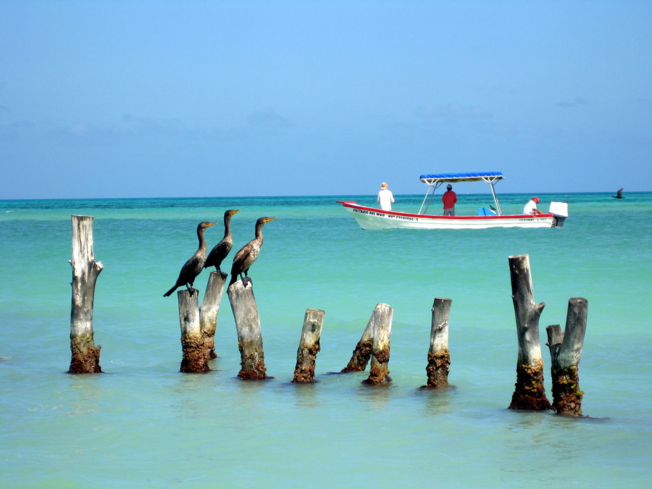 Cozumel