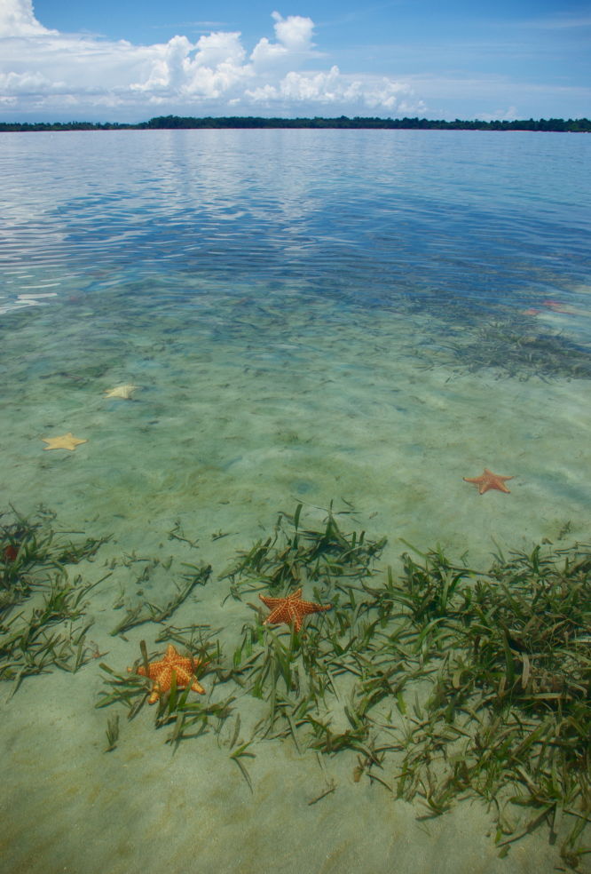 Colón, Panama
