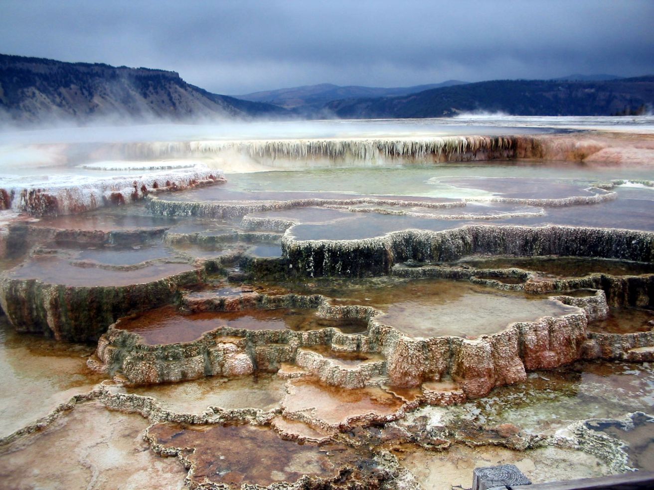 Canary Springs at Yellowstone National Park