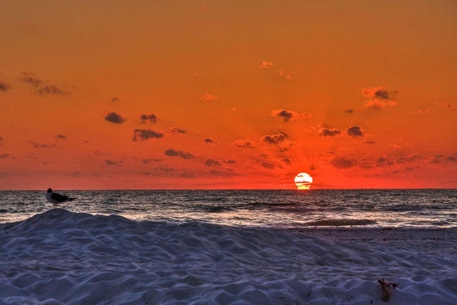 A beautiful Florida sunset
