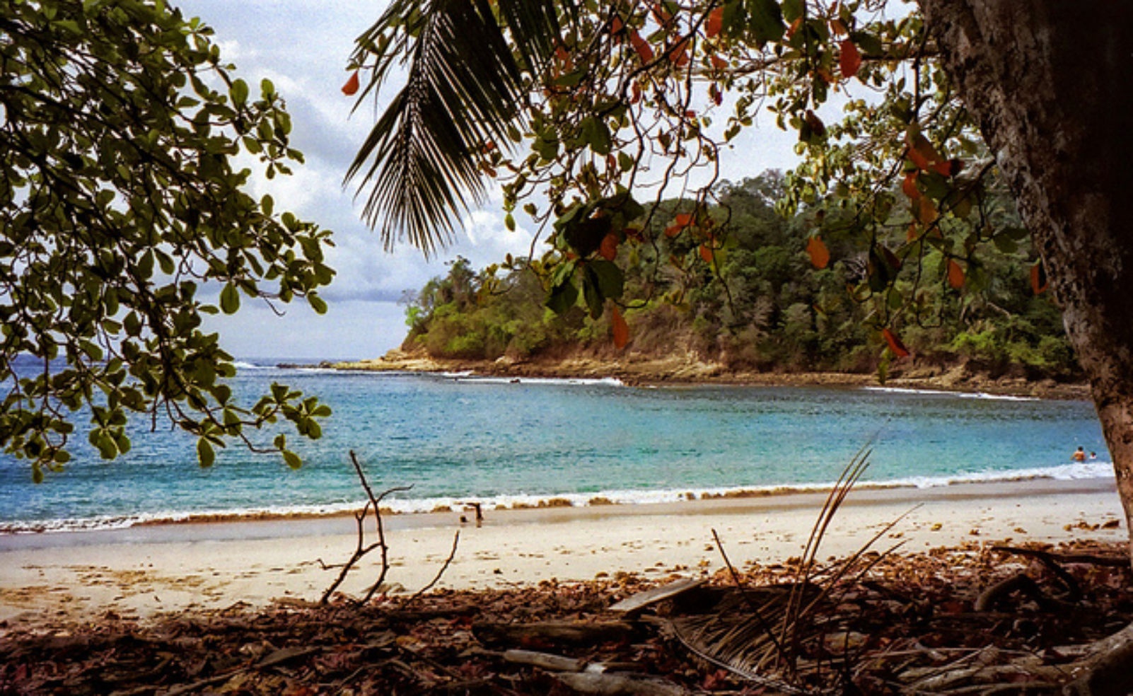Manuel Antonio National Park, Costa Rica
