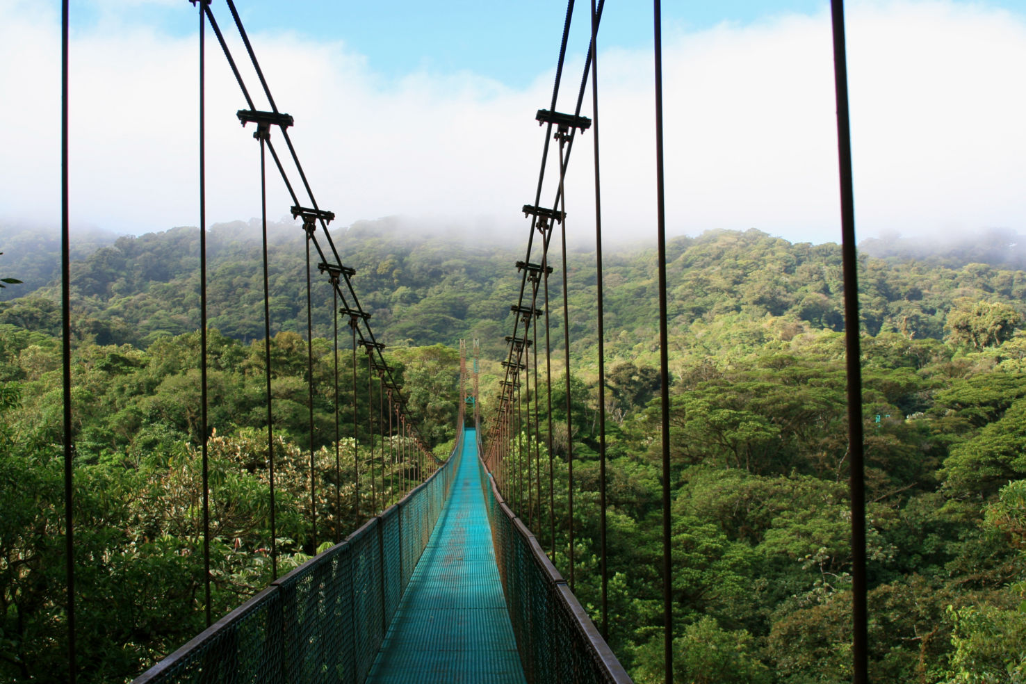 A rope bridge through the jungle in Costa Rica