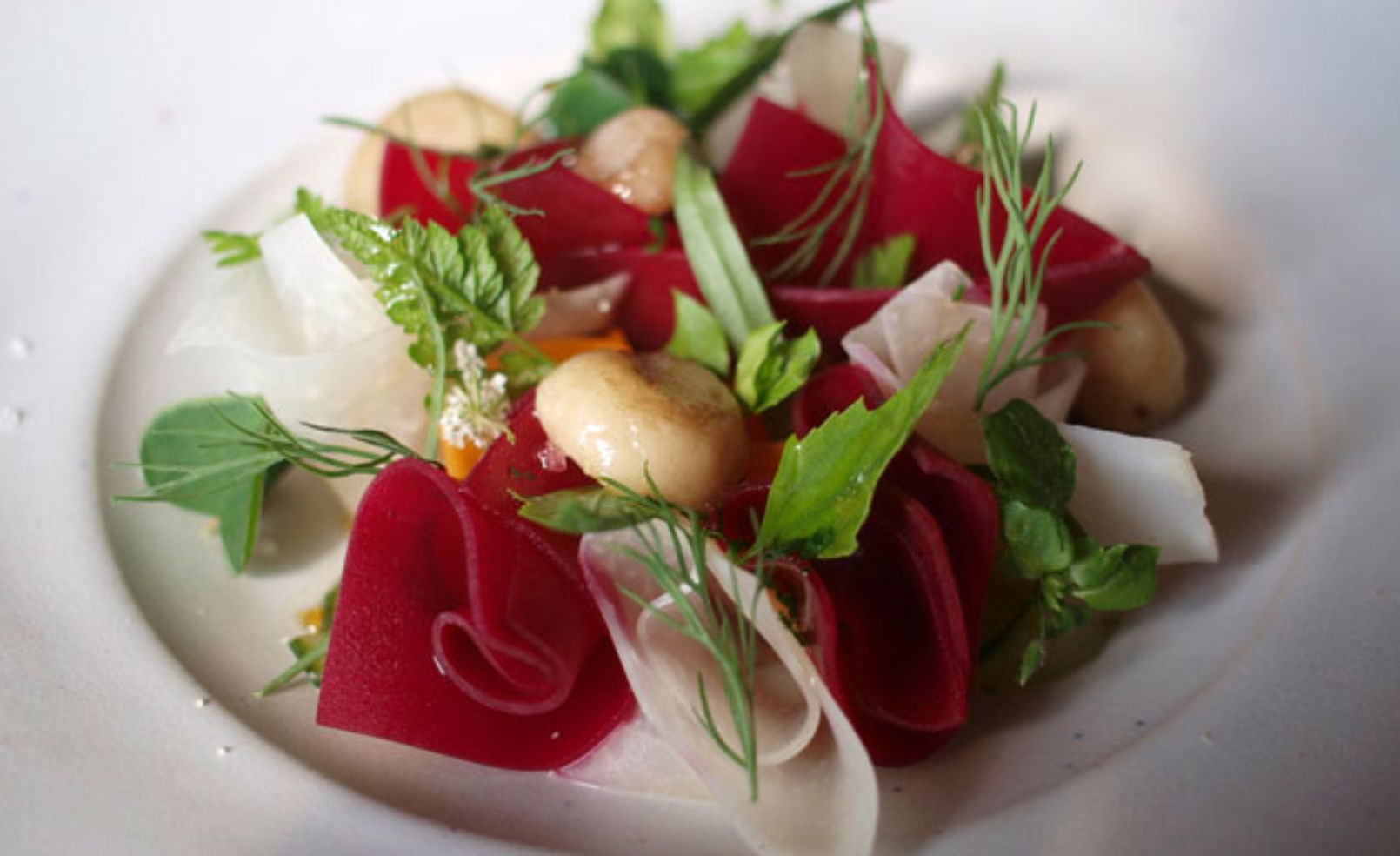 Noma food