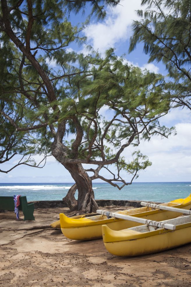 Road-Trip_OAHU_kayaks