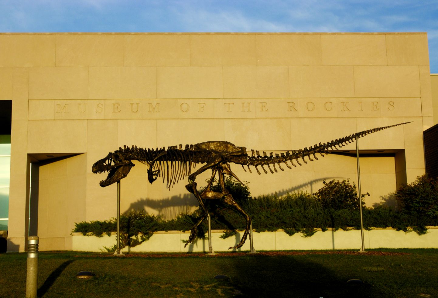 Museum of the Rockies