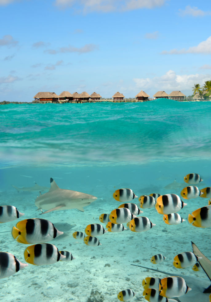Bora Bora, an island in the Tahiti archipelago French Polynesia
