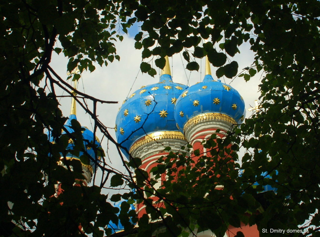 Russian domes through the trees