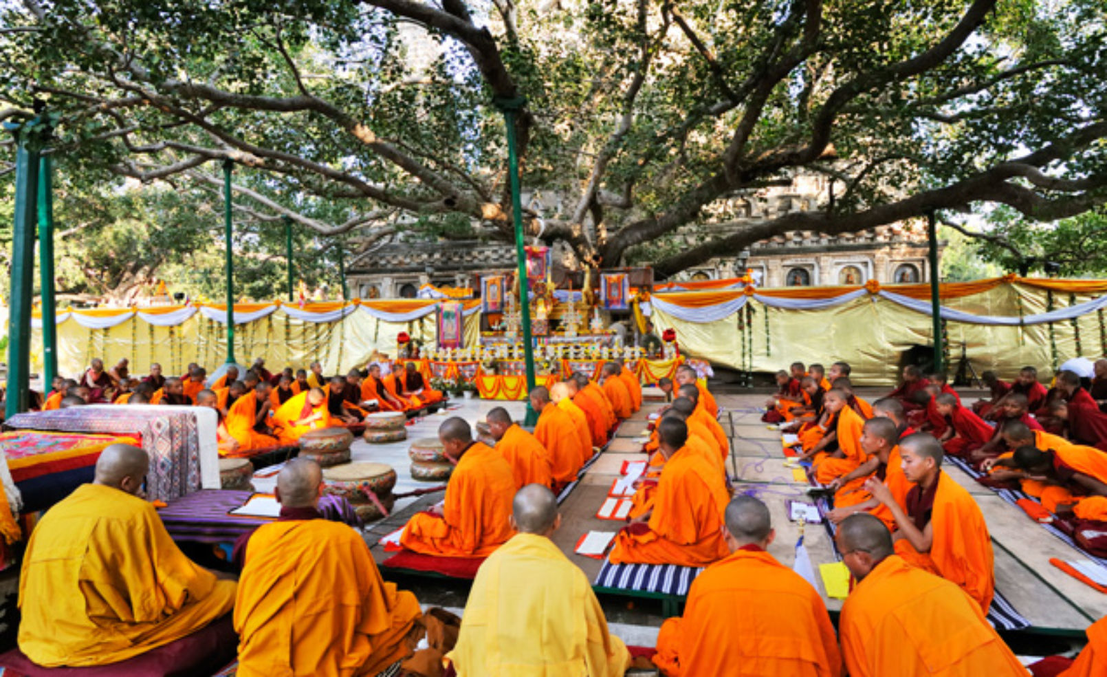 Mahabodhi Tree