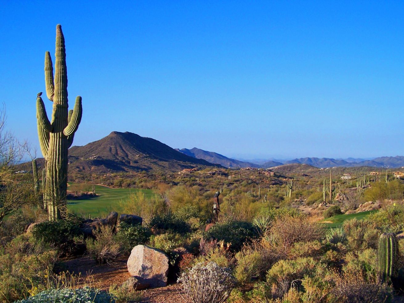 Scottsdale Arizona