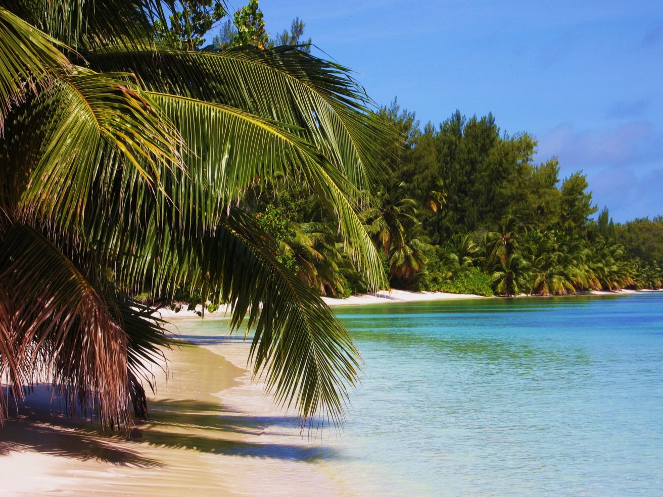 A beautiful beach in the Seychelles