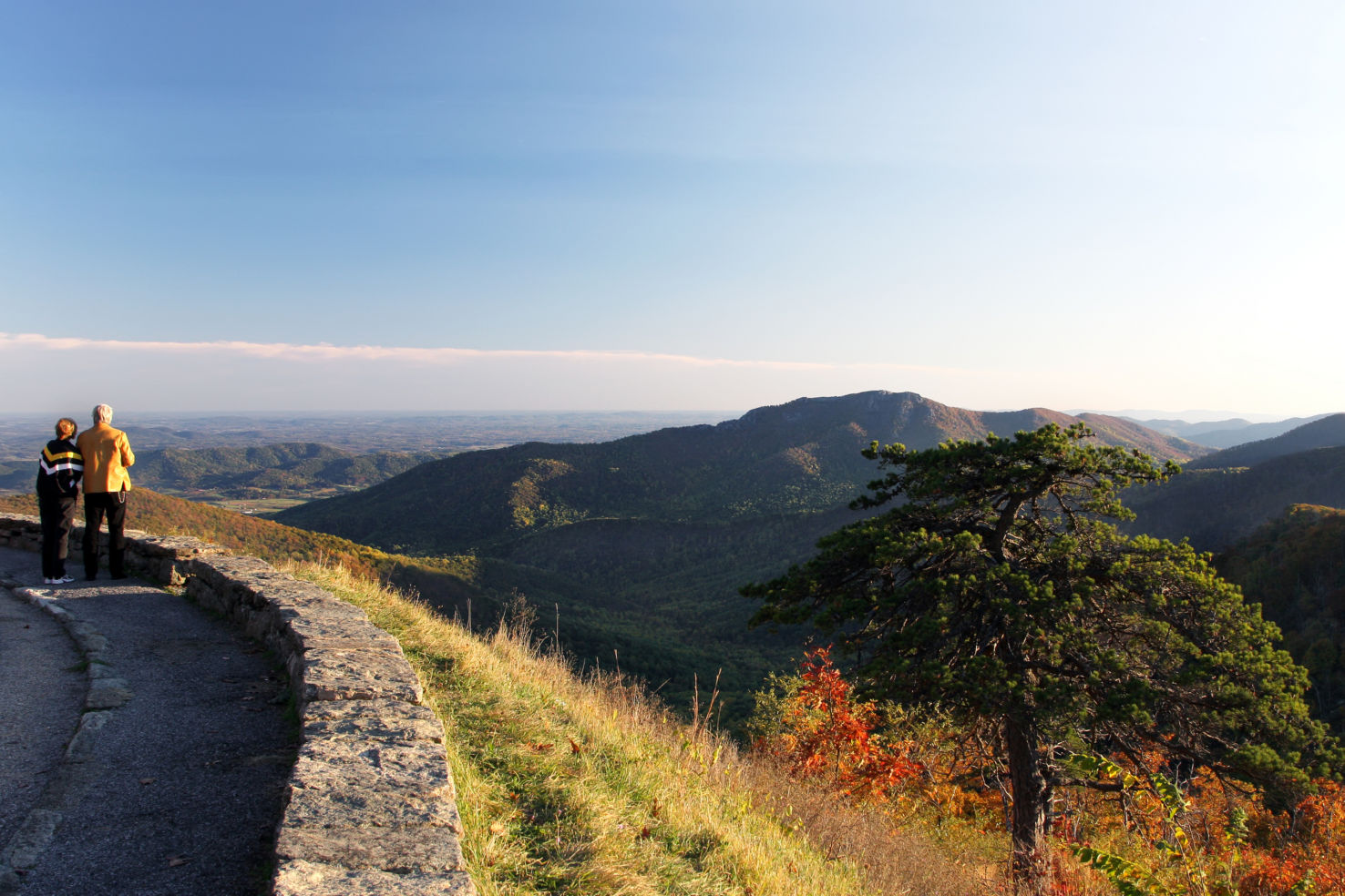 Shenandoah Valley