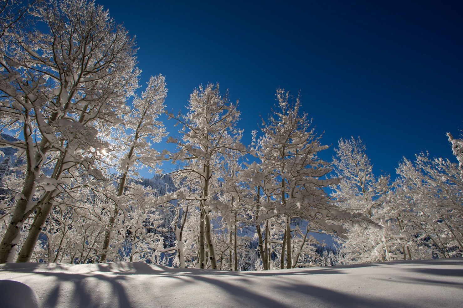 Ski-Resorts_Snowbird_winter