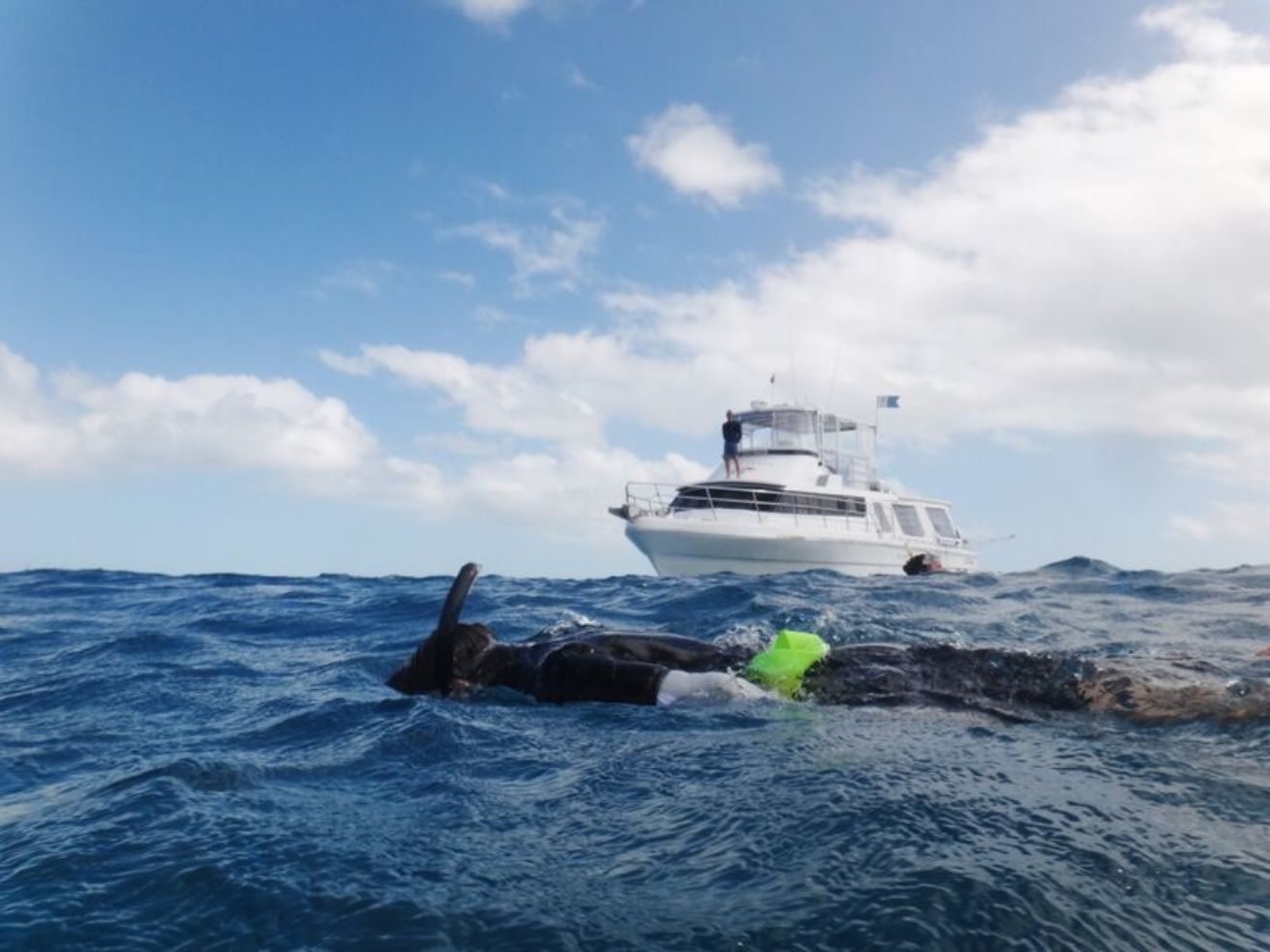 snorkeling