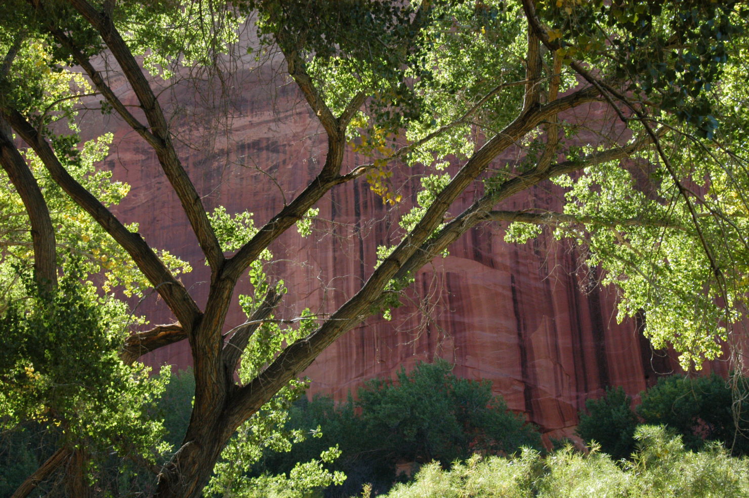 Capitol Reef National Park, Utah