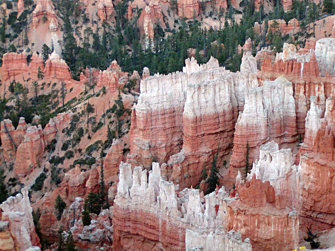 Hoodoos at Bryce Canyon