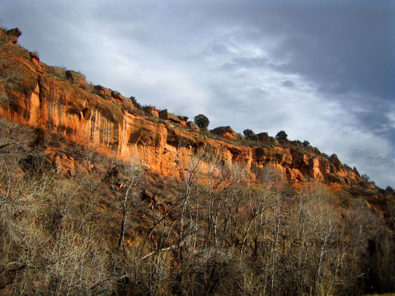 Red sandstone cliff, Colorado
