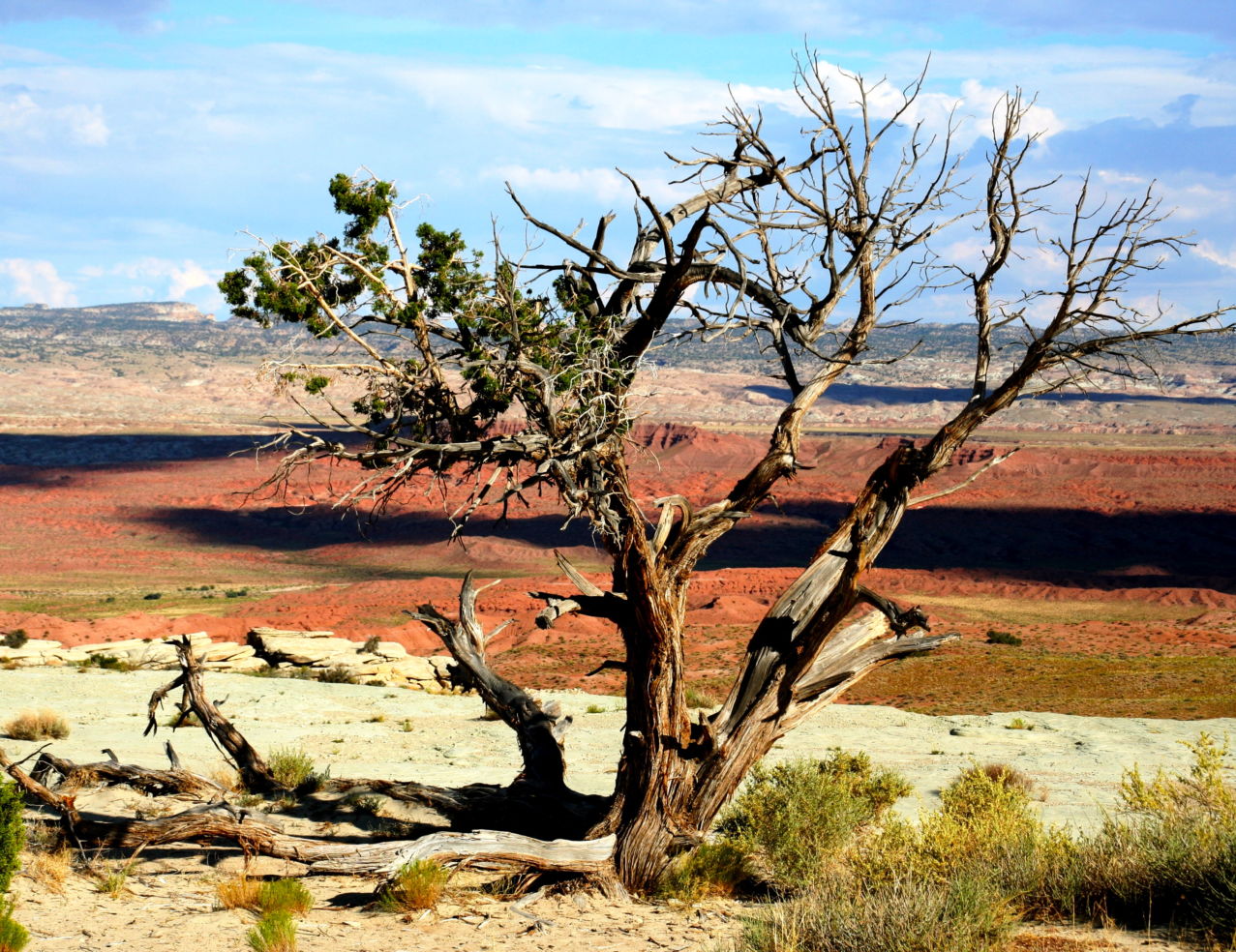 Utah desert