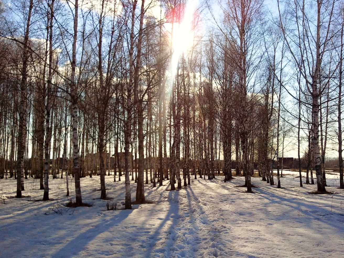 Spring thaw in the Russian wilderness