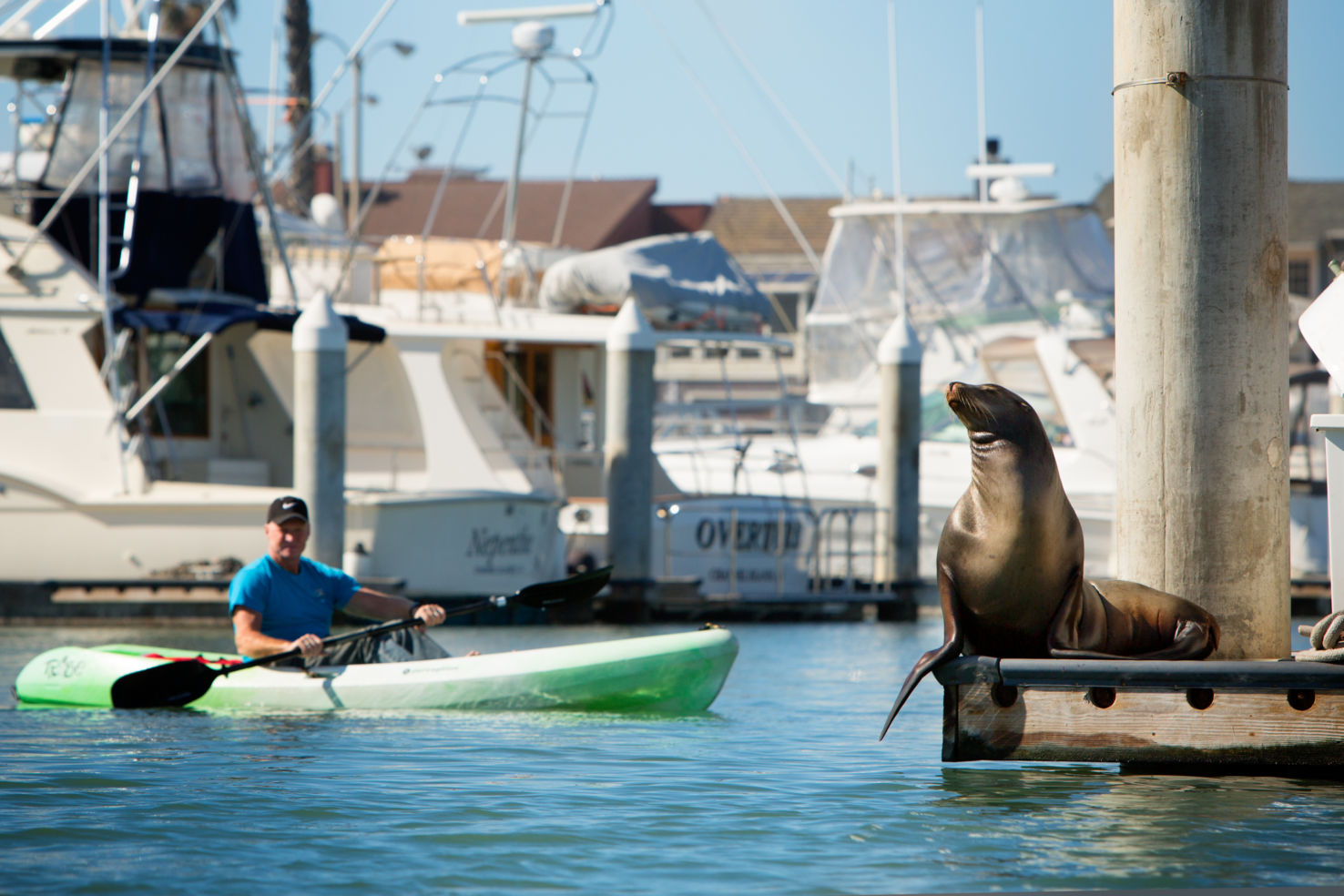 Channel Islands kayak center guided tours