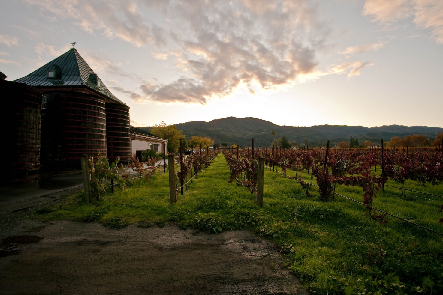 Sunset in Napa Valley, California