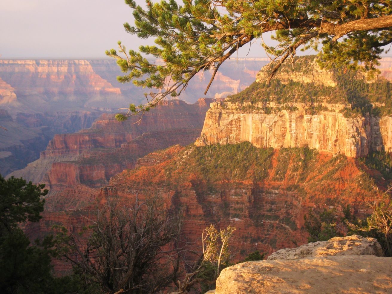 Grand Canyon