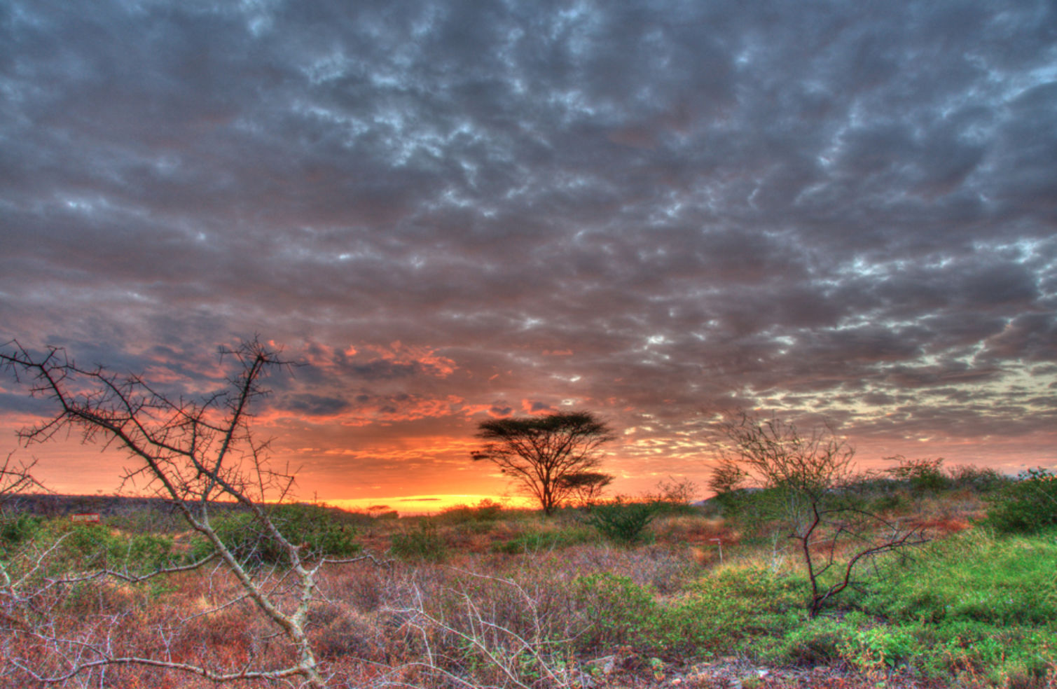 Kenya sunrise