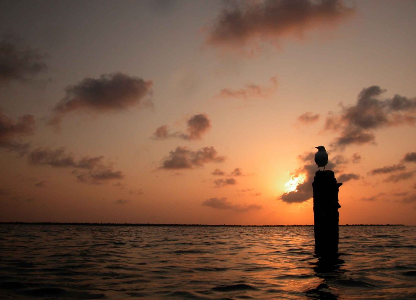 Sunset and tranquility on the water in Bonaire