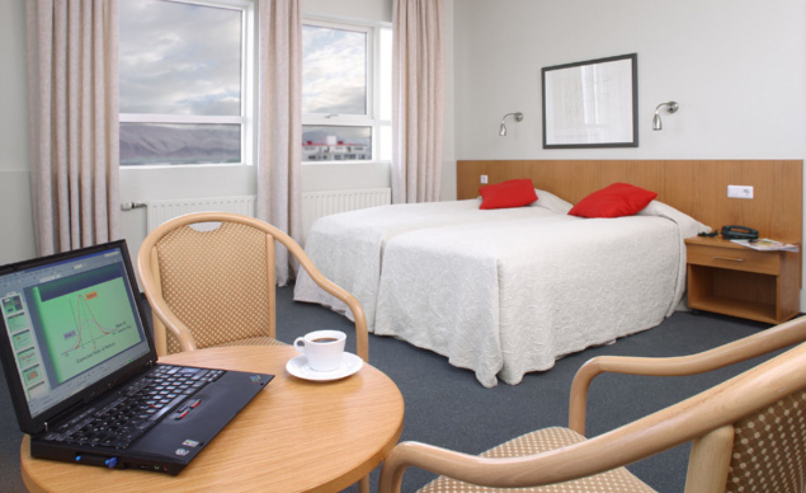 Hotel Bjork room